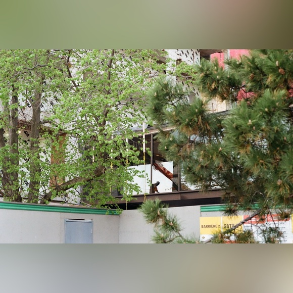 Canon AV-1 - Picture 11 of 11